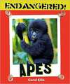 Apes