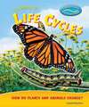 Looking at Life Cycles: How Do Plants and Animals Change?