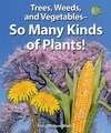 Trees, Weeds, and Vegetables--So Many Kinds of Plants!