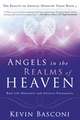 Angels in the Realms of Heaven: The Reality of Angelic Ministry Today