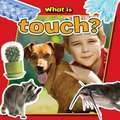 What Is Touch?