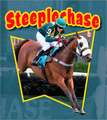 Steeplechase