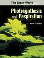 Photosynthesis and Respiration