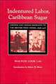 Indentured Labor, Caribbean Sugar