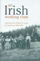 An Irish Working Class