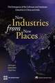 New Industries from New Places: The Emergence of the Hardware and Software Industries in China and India