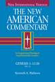 Genesis 1-11: An Exegetical and Theological Exposition of Holy Scripture