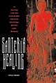 Santeria Healing: A Journey Into the Afro-Cuban World of Divinities, Spirits, and Sorcery