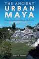 The Ancient Urban Maya: Neighborhoods, Inequality, and Built Form