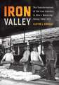 Iron Valley: The Transformation of the Iron Industry in Ohio's Mahoning Valley, 1802–1913