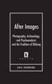 After Images: Photography, Archaeology, and Psychoanalysis and the Tradition of Bildung