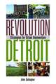 Revolution Detroit: Strategies for Urban Reinvention