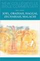 Joel, Obadiah, Haggai, Zechariah, Malachi: Volume 17