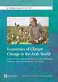 Economics of Climate Change in the Arab World: Case Studies from the Syrian Arab Republic, Tunisia, and the Republic of Yemen