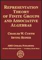 Representation Theory of Finite Groups and Associative Algebras