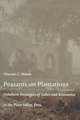 Peasants on Plantations – Subaltern Strategies of Labor and Resistance in the Pisco Valley, Peru