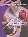 Circulatory System