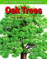 Oak Trees: Inside and Out