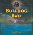 Bulldog Bats