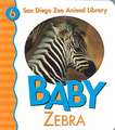 Baby Zebra San Diego Zoo: 100 Reflections on the Ways God's Love Keeps Us Growing [With Journal]