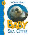 Baby Sea Otter