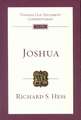 Joshua: An Introduction and Commentary