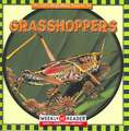 Grasshoppers