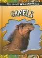 Camels