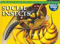 Social Insects