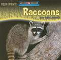 Raccoons Are Night Animals