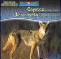 Coyotes Are Night Animals/Los Coyotes Son Animales Nocturnos