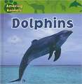 Dolphins