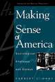 Making Sense of America