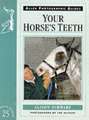 Your Horse's Teeth No 25