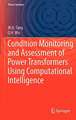 Condition Monitoring and Assessment of Power Transformers Using Computational Intelligence