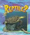 What is a Reptile?