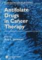 Antifolate Drugs in Cancer Therapy