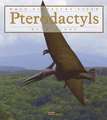 Pterodactyls