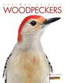 Woodpeckers