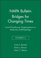 Bridges for Changing Times – Local Practitioner Organizations in American Anthropology