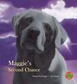 Maggie's Second Chance