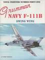 Grumman Navy F-111B Swing Wing