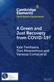 A Green and Just Recovery from COVID-19?: Government Investment in the Energy Transition during the Pandemic