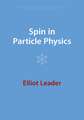 Spin in Particle Physics