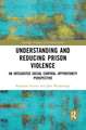 Understanding and Reducing Prison Violence: An Integrated Social Control-Opportunity Perspective