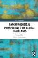 Anthropological Perspectives on Global Challenges