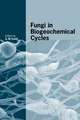 Fungi in Biogeochemical Cycles