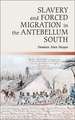 Slavery and Forced Migration in the Antebellum South