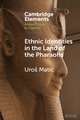 Ethnic Identities in the Land of the Pharaohs: Past and Present Approaches in Egyptology