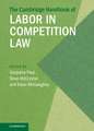 The Cambridge Handbook of Labor in Competition Law